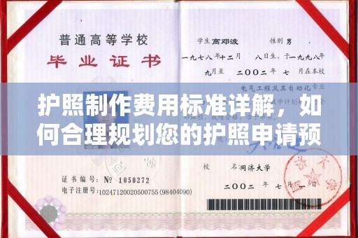 伊犁哈萨克护照制作费用标准详解，如何合理规划您的护照申请预算